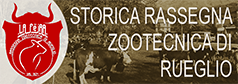 Fiera zootecnica