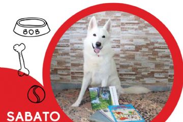 Evento in Biblioteca Comunale P.C. Vignot