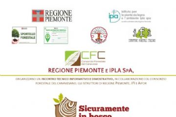 Sicuramente in bosco