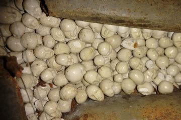 mostra "NAUFRAGI"<br>opere di: Vadis Bertaglia, Mono Carrasco, Daniele D’Antonio, Davide Fasolo, Vincenzo Fiorito, Marco Martz, Opiemme