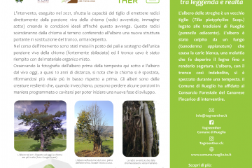 Descrizione dell'intervento di recupero