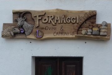 Sfoglia la galleria