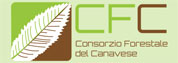 Consorzio Forestale del Canavese